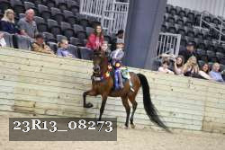 23R13_08273 thumbnail