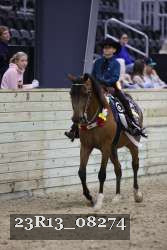23R13_08274 thumbnail