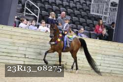 23R13_08275 thumbnail