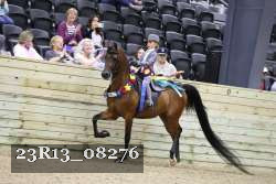 23R13_08276 thumbnail