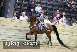 23R13_08278 thumbnail