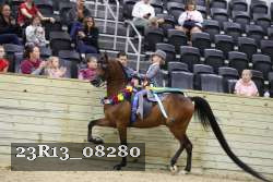 23R13_08280 thumbnail