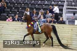 23R13_08285 thumbnail
