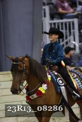 23R13_08286 thumbnail