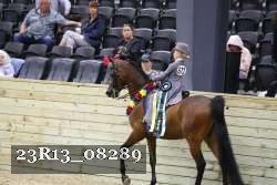 23R13_08289 thumbnail