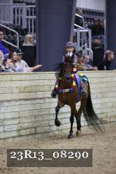 23R13_08290 thumbnail