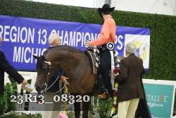 23R13_08320 thumbnail