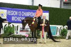 23R13_08323 thumbnail