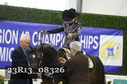 23R13_08326 thumbnail