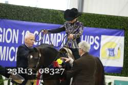 23R13_08327 thumbnail