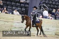 23R13_08332 thumbnail