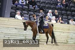 23R13_08333 thumbnail