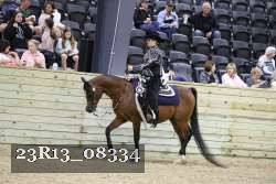 23R13_08334 thumbnail
