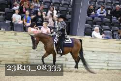 23R13_08335 thumbnail