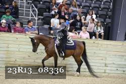 23R13_08336 thumbnail