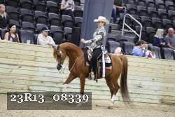 23R13_08339 thumbnail