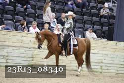 23R13_08340 thumbnail