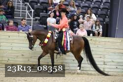 23R13_08358 thumbnail
