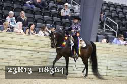 23R13_08364 thumbnail