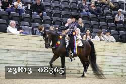 23R13_08365 thumbnail