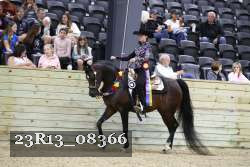 23R13_08366 thumbnail
