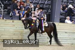 23R13_08367 thumbnail