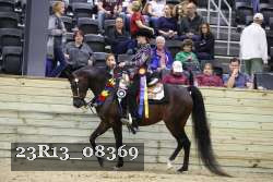 23R13_08369 thumbnail