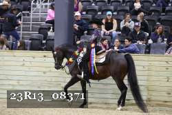 23R13_08371 thumbnail