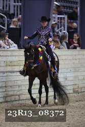 23R13_08372 thumbnail
