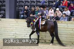 23R13_08373 thumbnail