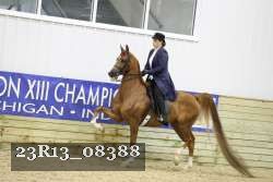 23R13_08388 thumbnail