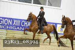 23R13_08394 thumbnail