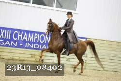 23R13_08402 thumbnail