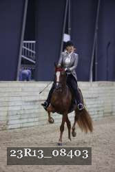 23R13_08403 thumbnail