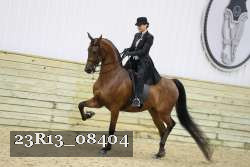 23R13_08404 thumbnail