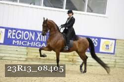 23R13_08405 thumbnail