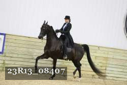 23R13_08407 thumbnail