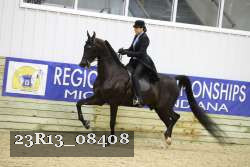 23R13_08408 thumbnail