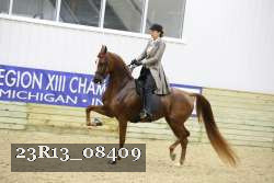 23R13_08409 thumbnail
