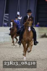 23R13_08410 thumbnail