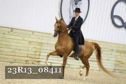 23R13_08411 thumbnail