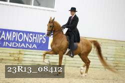 23R13_08412 thumbnail