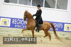 23R13_08413 thumbnail