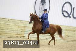 23R13_08414 thumbnail