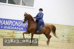 23R13_08415 thumbnail