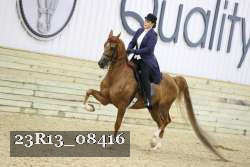 23R13_08416 thumbnail