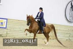 23R13_08417 thumbnail