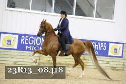 23R13_08418 thumbnail