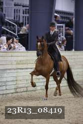 23R13_08419 thumbnail