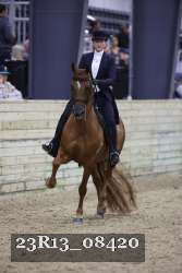 23R13_08420 thumbnail